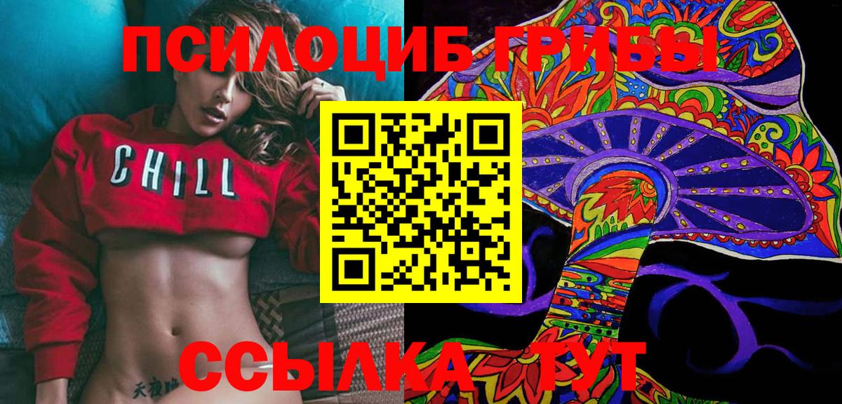Псилоцибиновые грибы Psilocybine cubensis Котельники